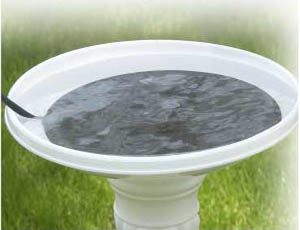 Example placment in your bird bath